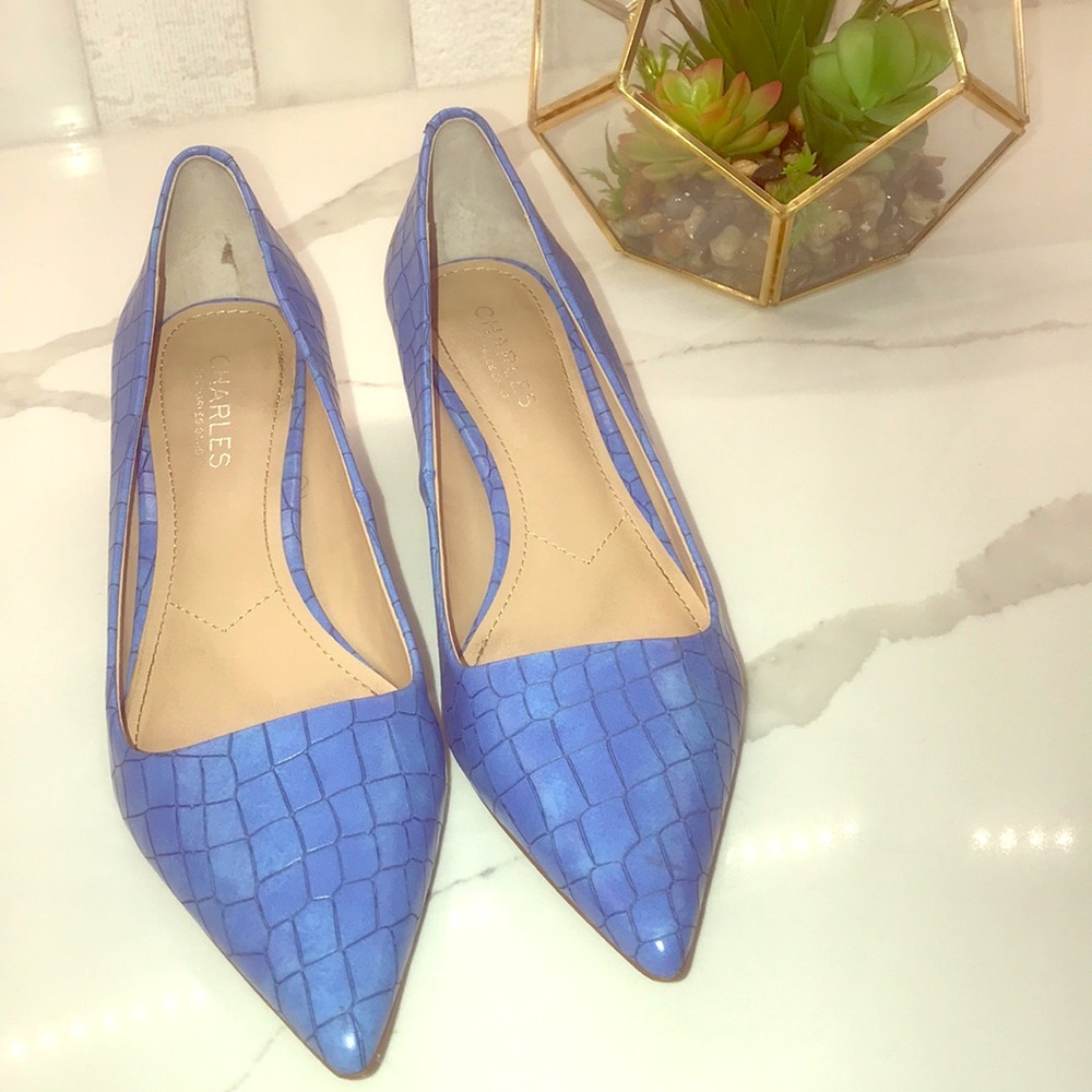 Charles David pointy toe shoe